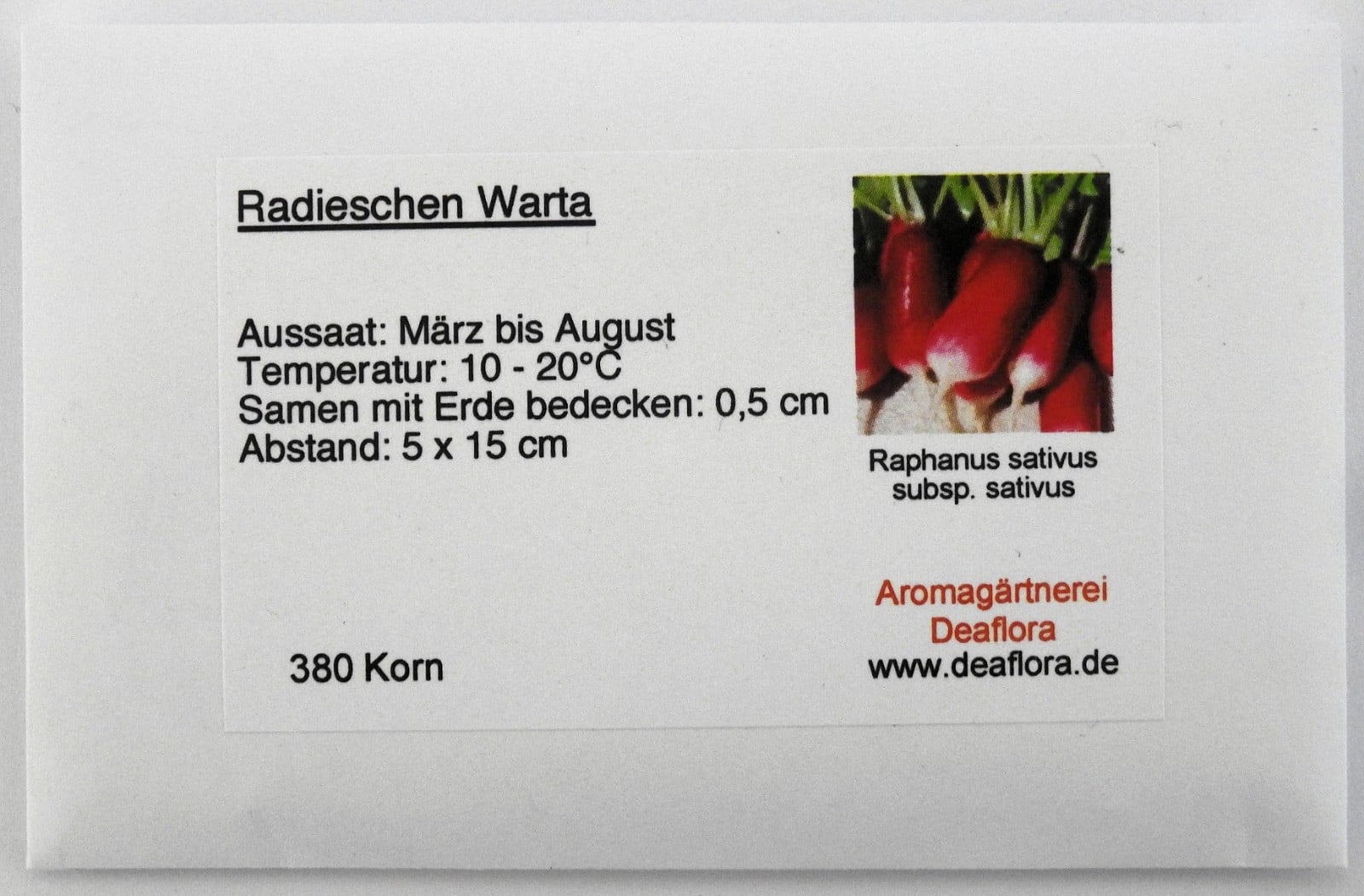 Warta: Growing, Harvesting & Companion Plants