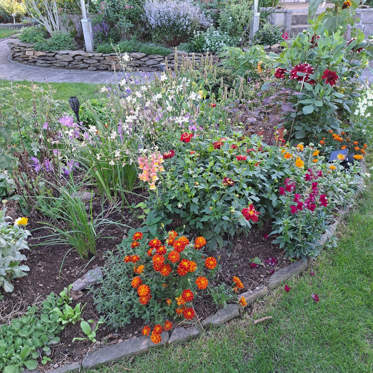 Hallo zusammen 😃

Ich hab heute den Ökologischerwert des Garten nach oben ↗️ geschraubt. Hab 12 neue Wilder Majoran, 4…