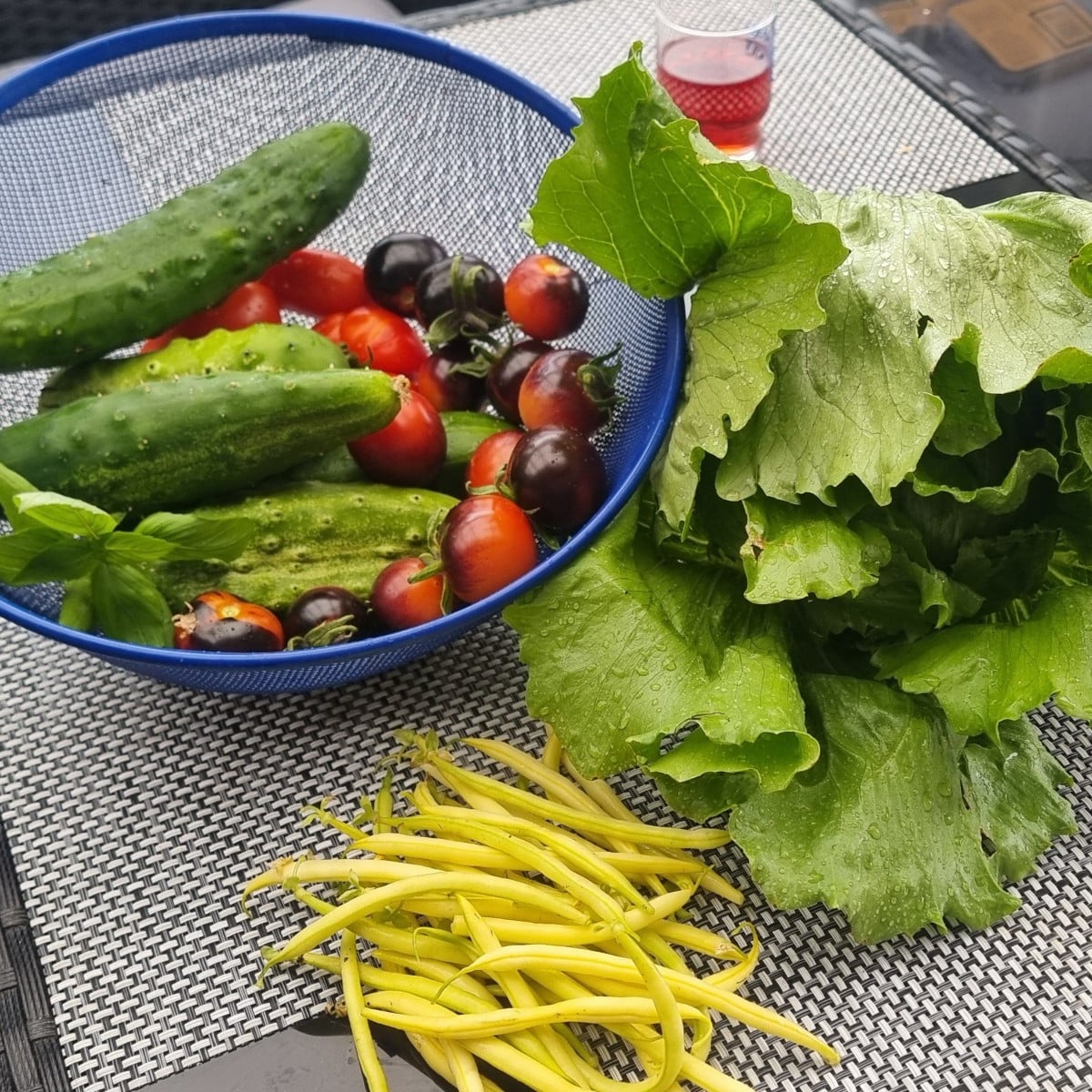 Guten Morgen zusammen☕😀 Gurken und Salat Ernte ich schon eine Weile und nun werden auch endlich die Tomaten rot. 