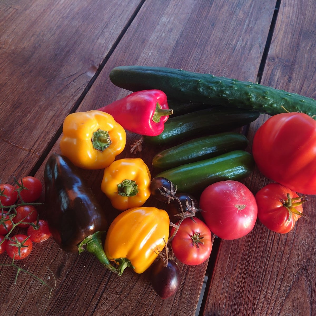 In the last rays of sunshine today, I tidied up the greenhouse and brought in the last big harvest. My three cucumbers …