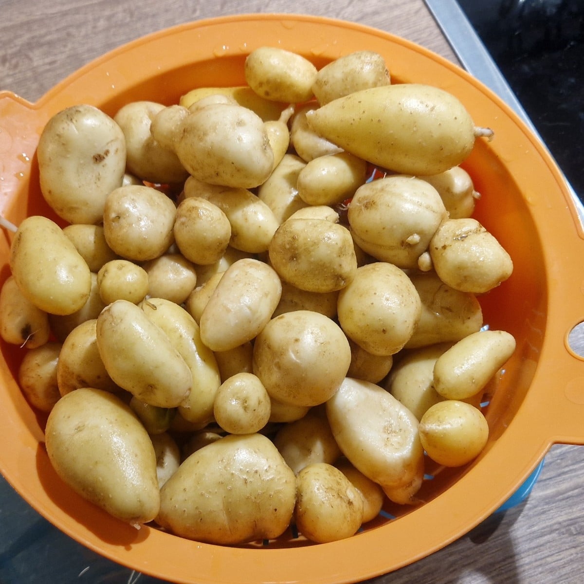 Unsere ersten kleinen Ernten...