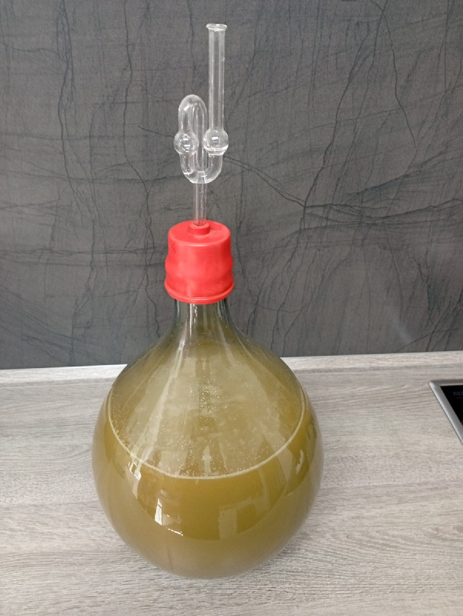Heute die erste große Weinlese an unserem vor zwei Jahren gepflanzten @weintraubelakemont-260417 . Er trug insgesamt 10…