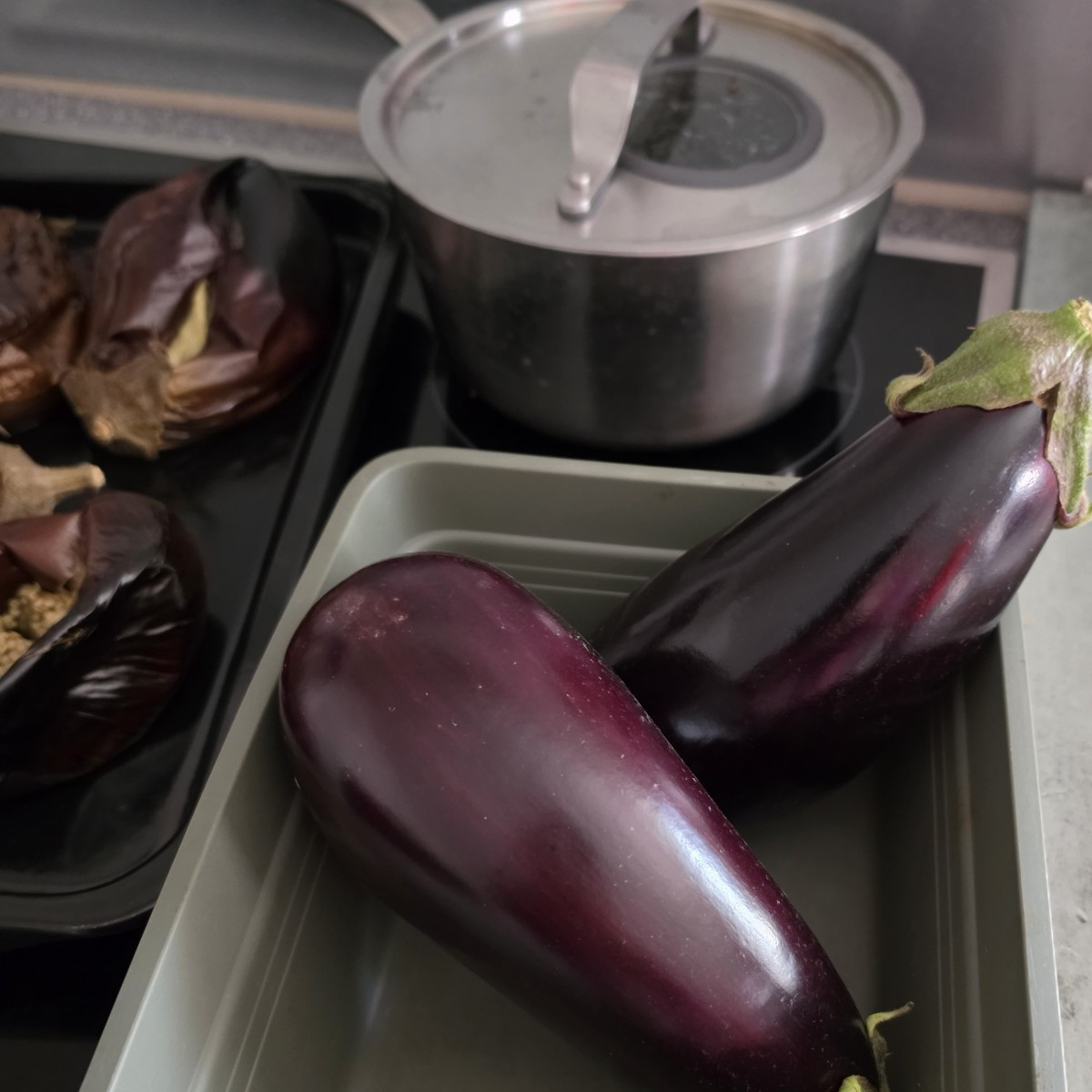 Auberginen und Tomaten geerntet. Auberginenpflanzen ohne große Auberginen entfernt aus Gewächshaus, und auf Komposthauf…