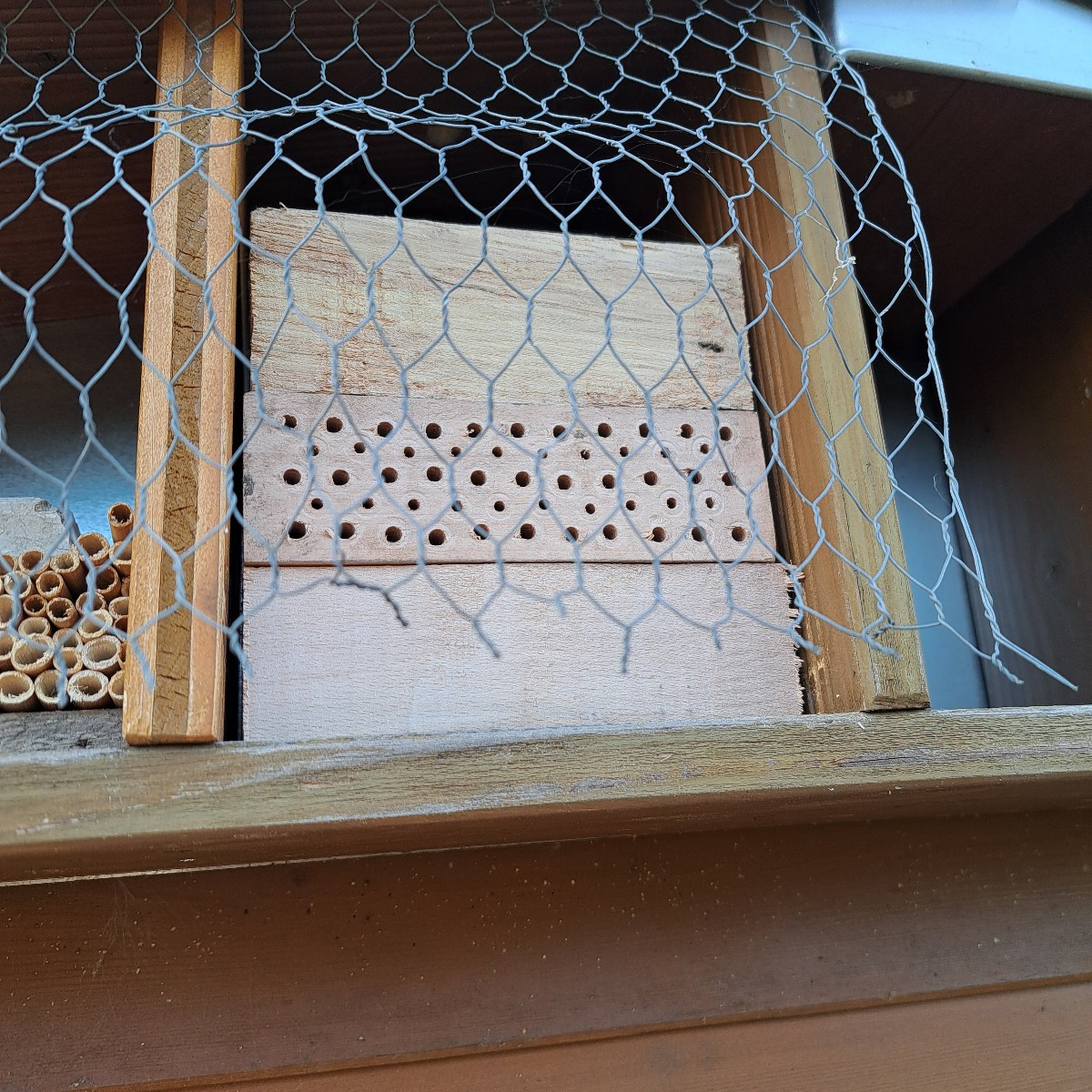 Da es nicht mehr soviel zu machen gibt im Garten. Habe ich heute das große Insektenhotel weiter befüllt Bambus und Schi…