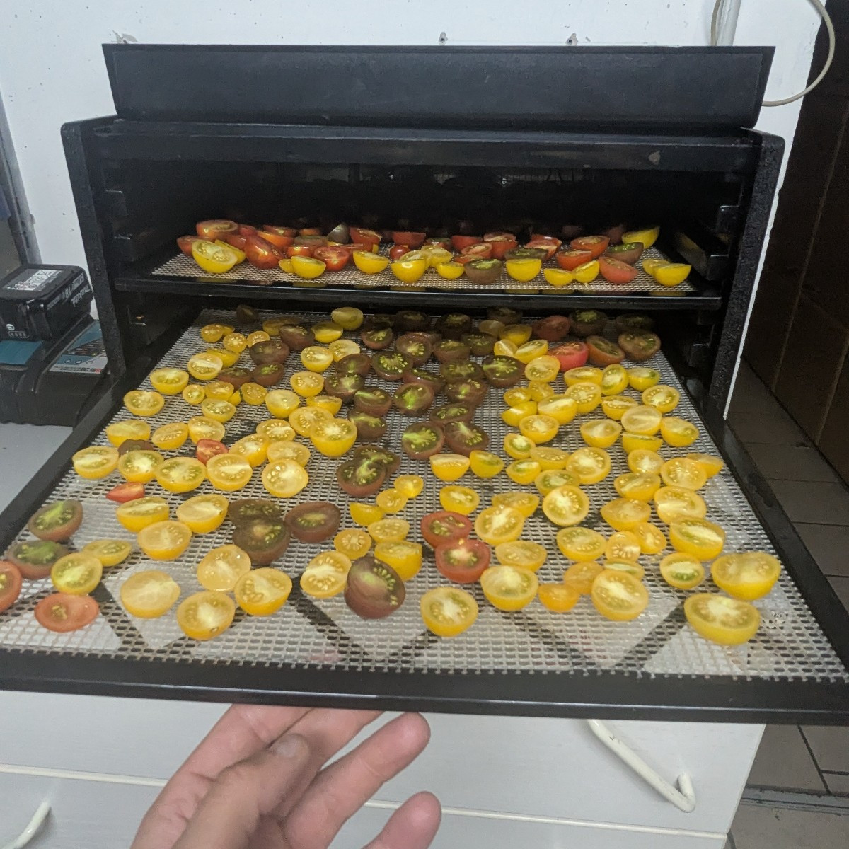 Kurzer Eindruck der Ernte diesen Jahres. Gurken reichen definitiv für das ganze Jahr. Geschätzte 30 kg bisher verarbeit…