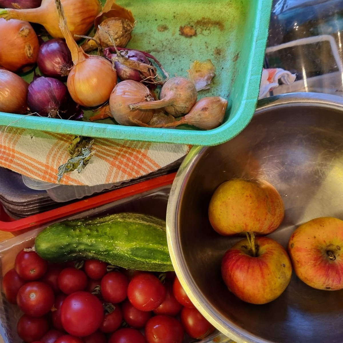 Does it look like a #kitchenbattle over at your place, too?
We went #shoppingatthesgarden again and ate, ate, ate.🥳😋🙌