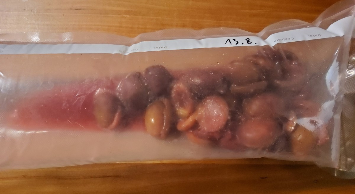...Tag 7: Lakto-fermentierte Pflaumen(Zwetschgen) ☺️