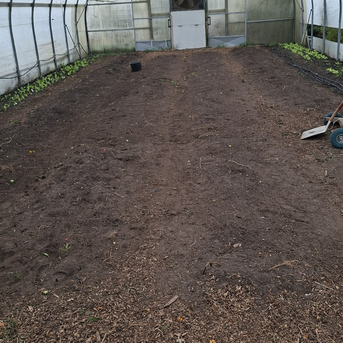 Diese woche haben wir in Folienentunnel 1 alle 240 Tomatenpflanzen entfernt und neue Beete angefangen anzulegen, in den…