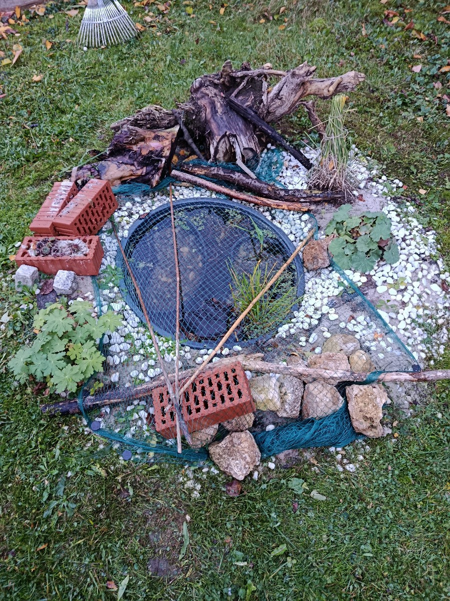 Es kommt ja immer anders, als man denkt. Dieser dicke Ast und viele kleine Äste sind von der Korkenzieherweide des Nach…