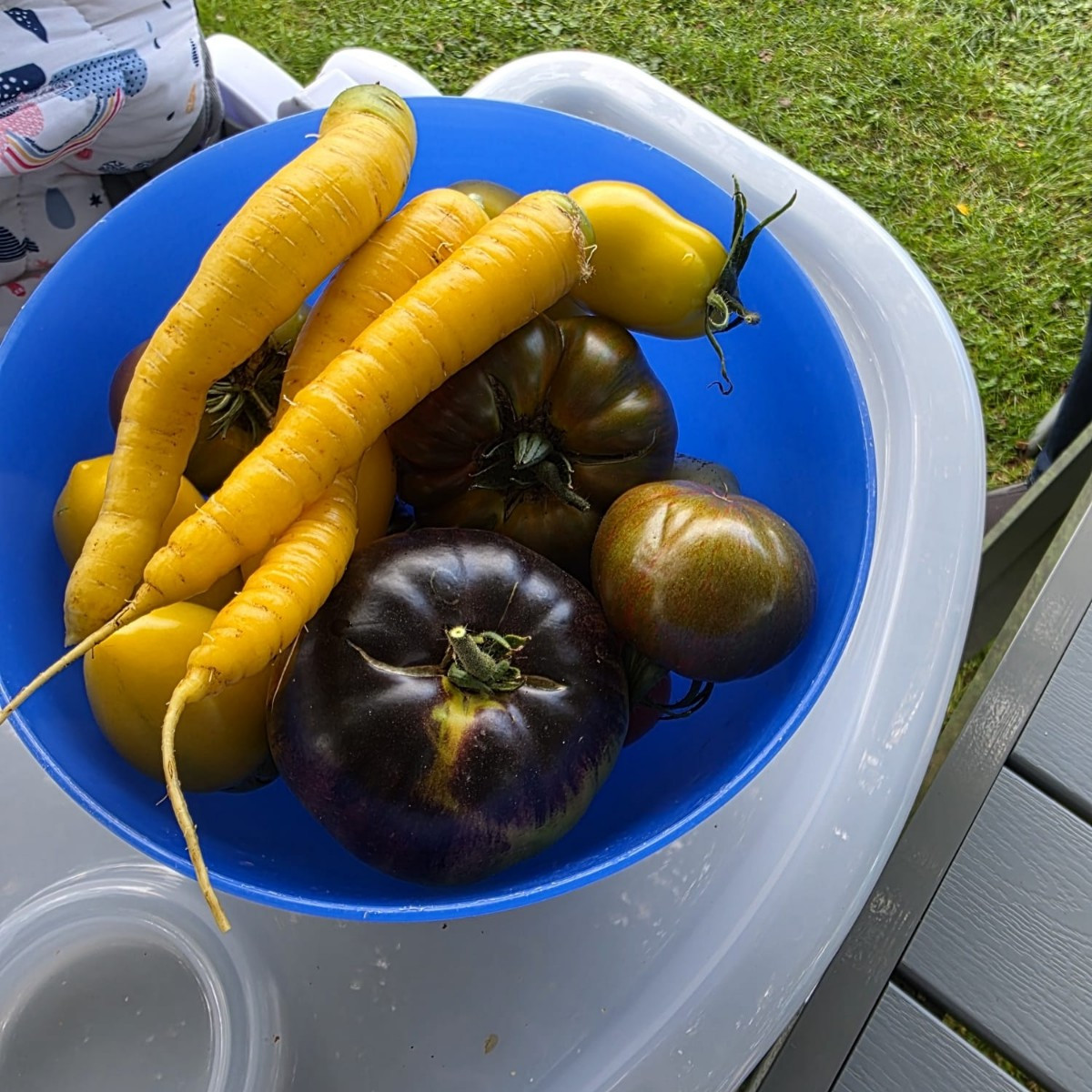 Kleine Ernte und impressionen 