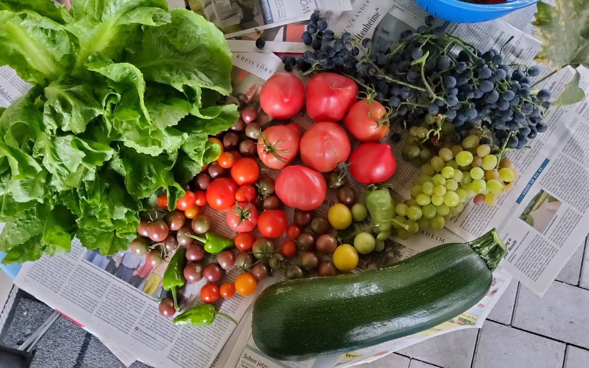 ...stellt euch vor, jetzt wäre ich im Garten beim Ernten fast vom Regen überrascht worden... ...muwahaha...🤣🤣🤣 ...de…
