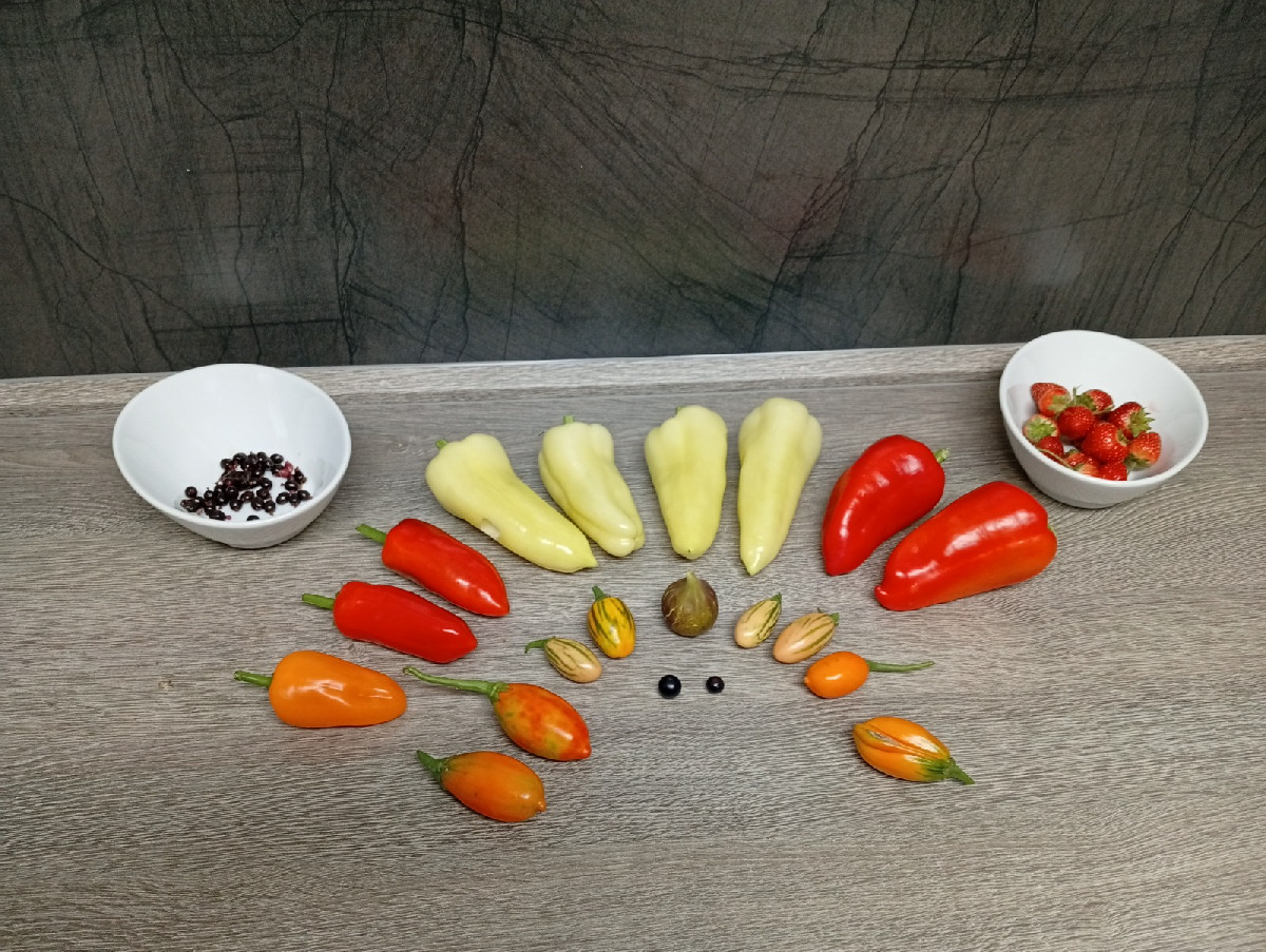 Mal zwei Tage nicht im Garten gewesen - und dann so eine Wahnsinnsernte. Aus den letzten Tomaten wurde gestern eine ein…