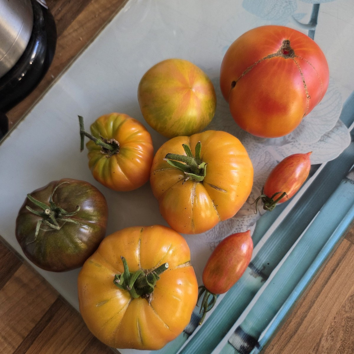 Heutige Ausbeute, wieder tolle Tomaten 🥰 das Tomatenzelt war eine grandiose Entscheidung 💖 wird nächstes Jahr doppelt…