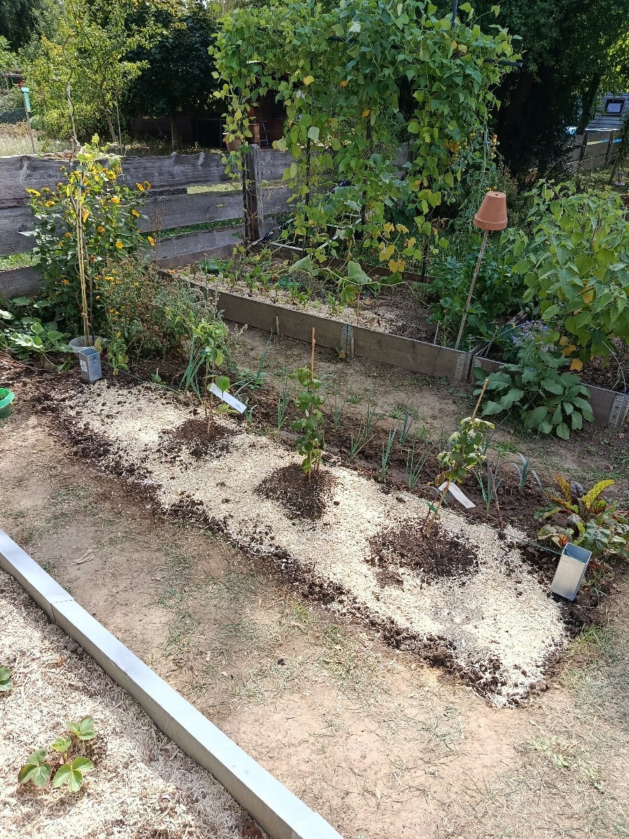 Heute sind schon die Himbeeren gekommen und so musste ich schnell handeln, solange das Wetter noch passt. Zucchini und …
