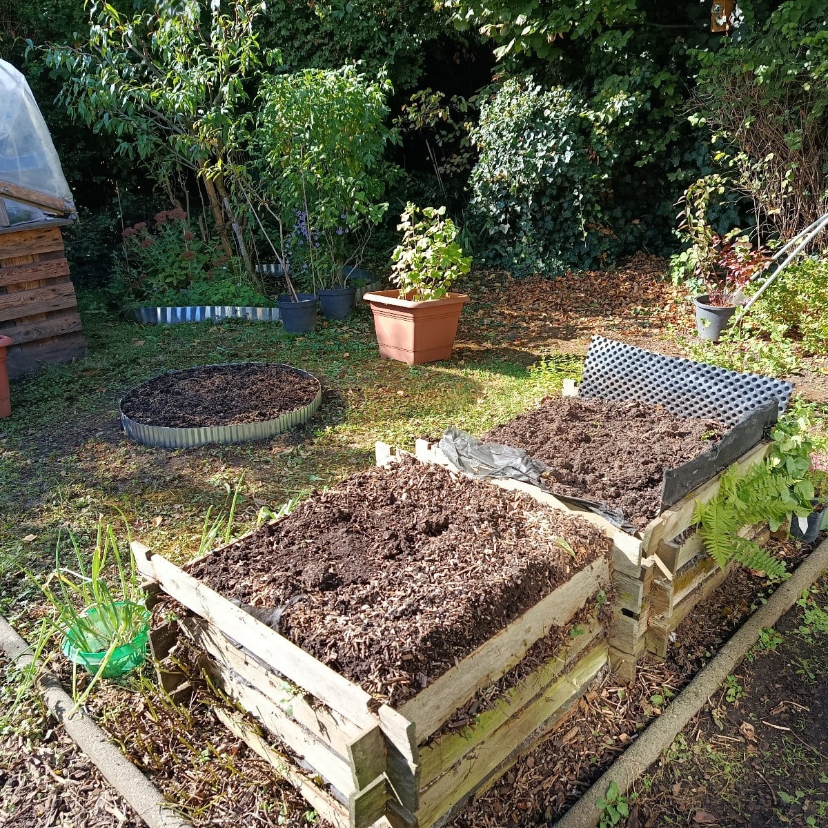 Der erste Teil der Umgestaltung hat angefangen. Ich habe ein kleines Beet für Stauden und Blumenzwiebel angelegt. Da we…