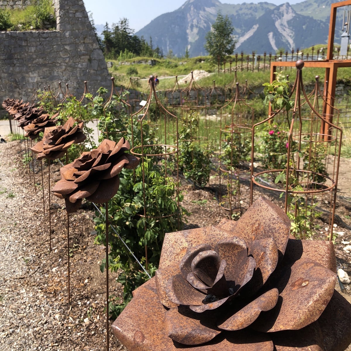 Ein etwas andere Rosengarten 🙃