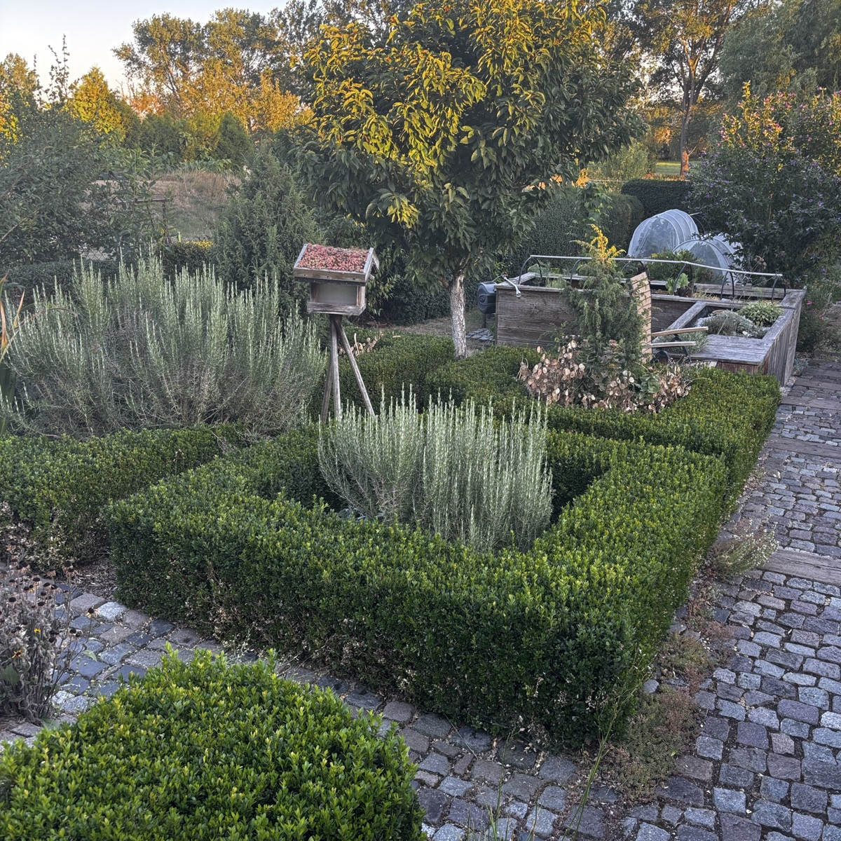 Ich habe mal ein Bild von meinem Kräutergarten gemacht. Wahrscheinlich das letzte, was so schön aussieht. Ich habe jetz…