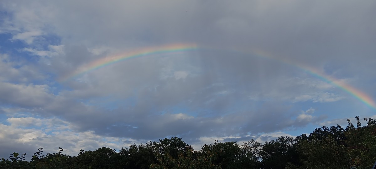 Bei mir war er auch 🌈🫣, da haben wir also zur selben Zeit im garten Bilder gemacht.🤣🤣🤣