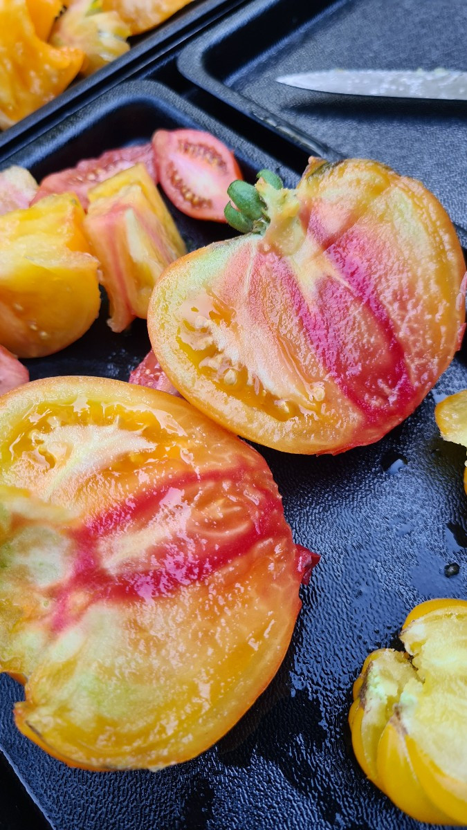 Eine Cleota Yellow. Die Gelbe Ananas ist die Orangene auf der Hand. Tolle Tomate. Im Foto die kleine Schwester.