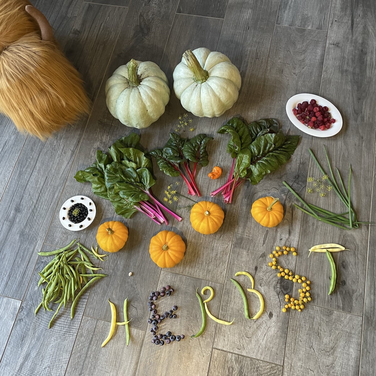 #fallharvest
#fallcolors