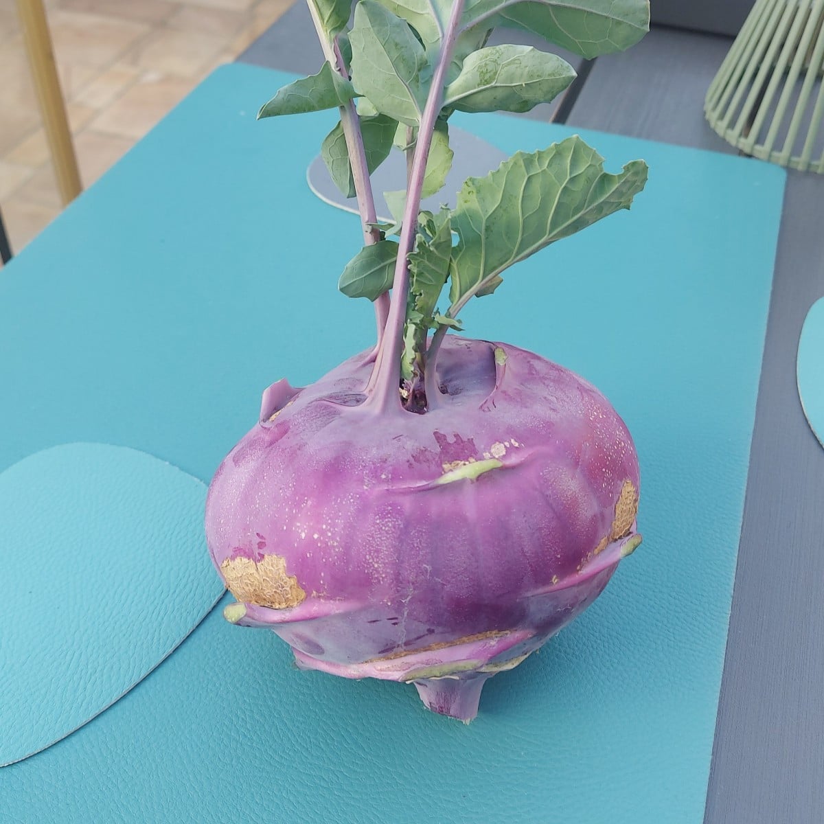 Endlich ein schöner Kohlrabi für Kohlgaby :)