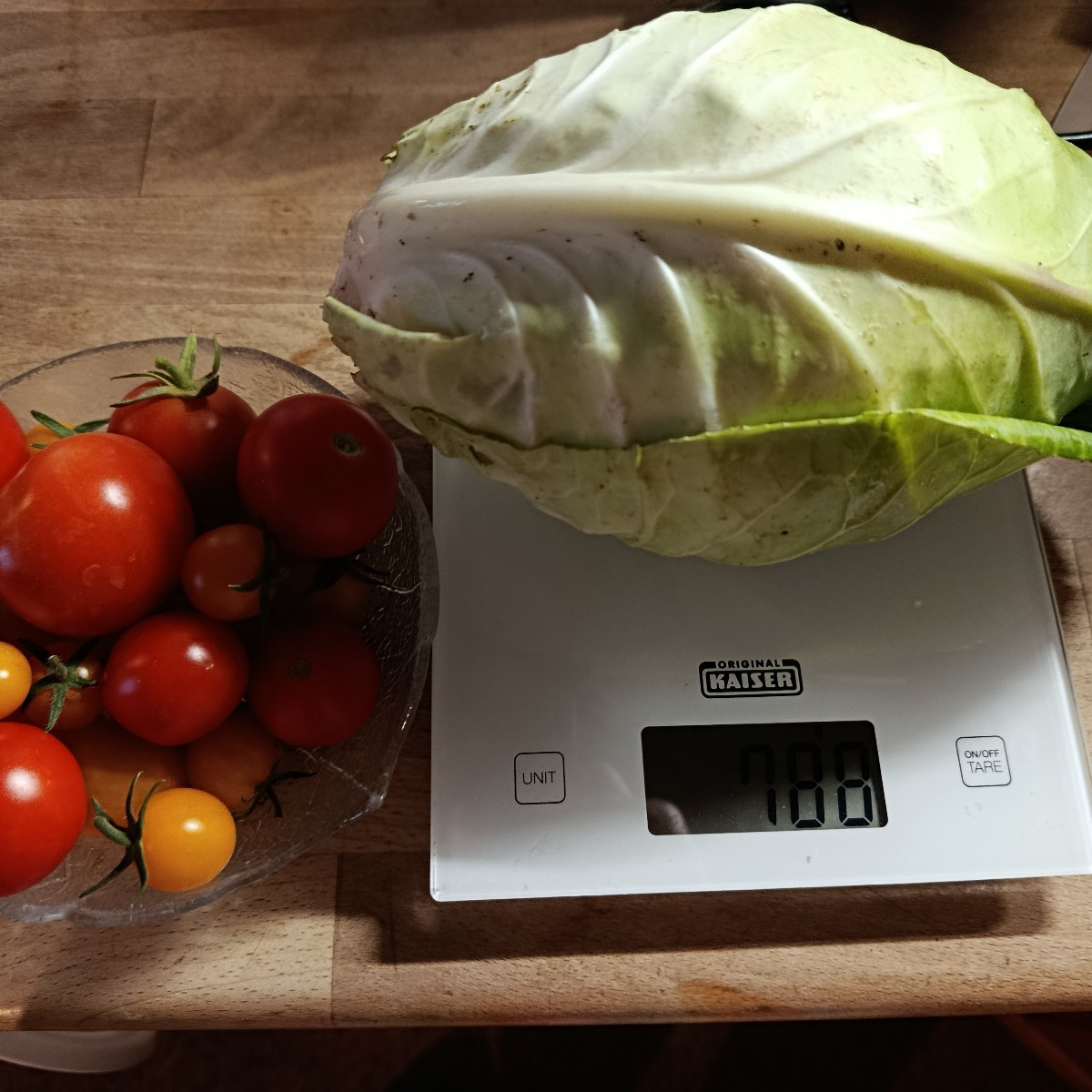 Heute meinen zweiten Spitzkohl geerntet. Diesmal aus dem Freiland. Er ist kompakter, aber dieses Jahr auch fester vom B…