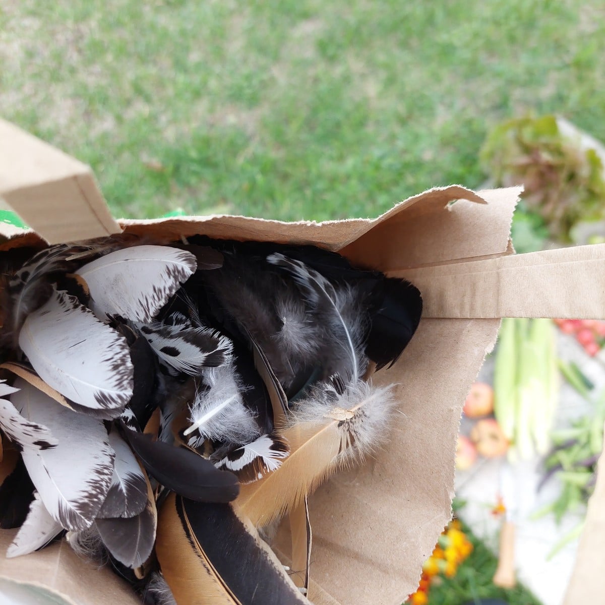 Heute war ich endlich mal wieder mit Muße im Garten.
Und ich dachte schon, es wird ein mageres Bohnenjahr.
Hab auch vom…