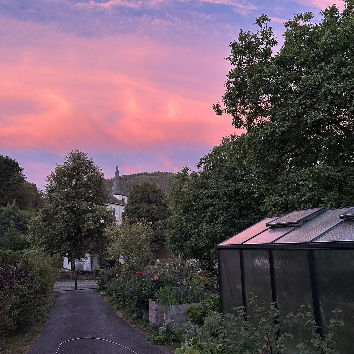 Guten Morgen ☀️ 