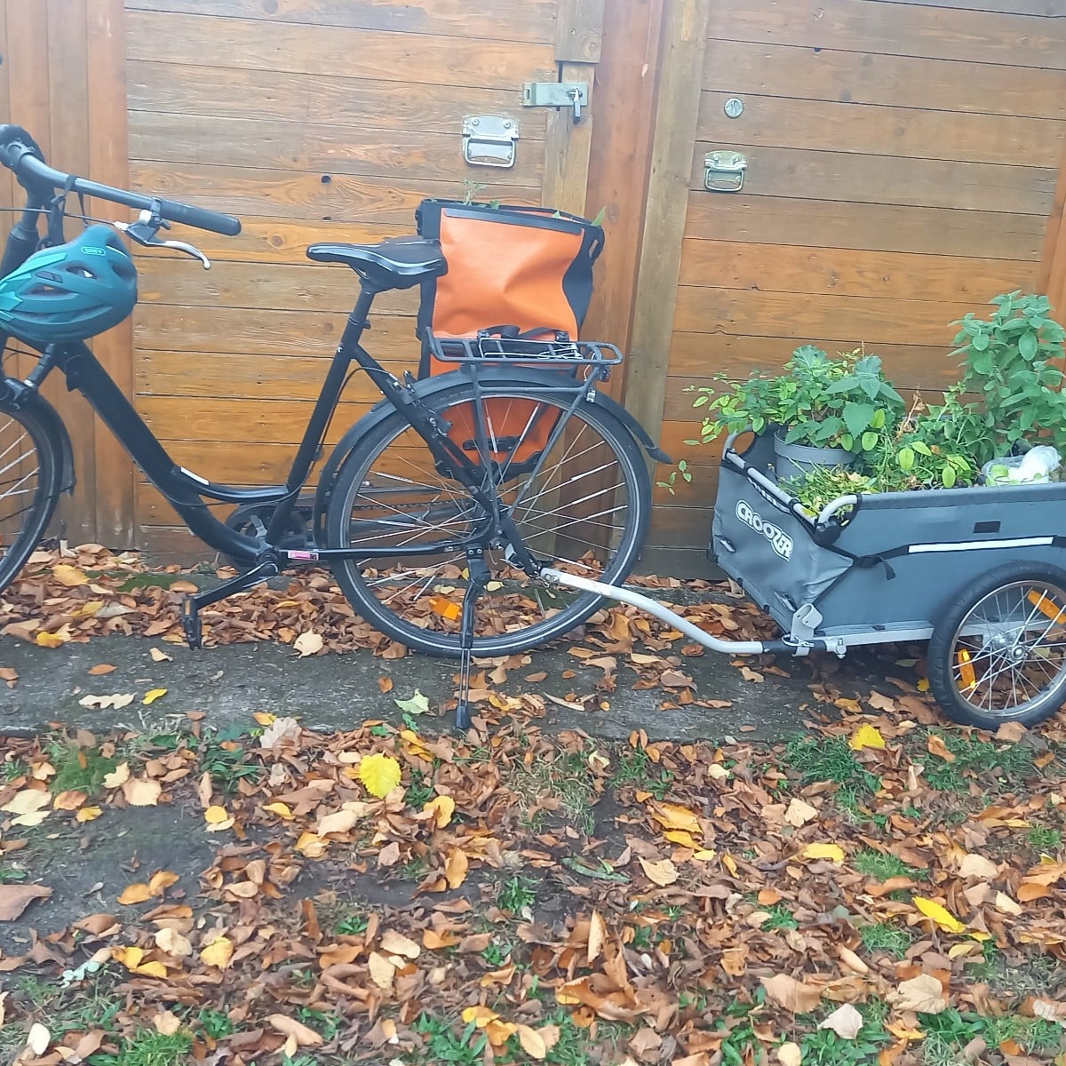 So ziehe ich meinen Garten um.  Bretter für die Beetrahmen, zwei Mòrtelkisten mit Beerensträucher und den Feigenbaum ha…