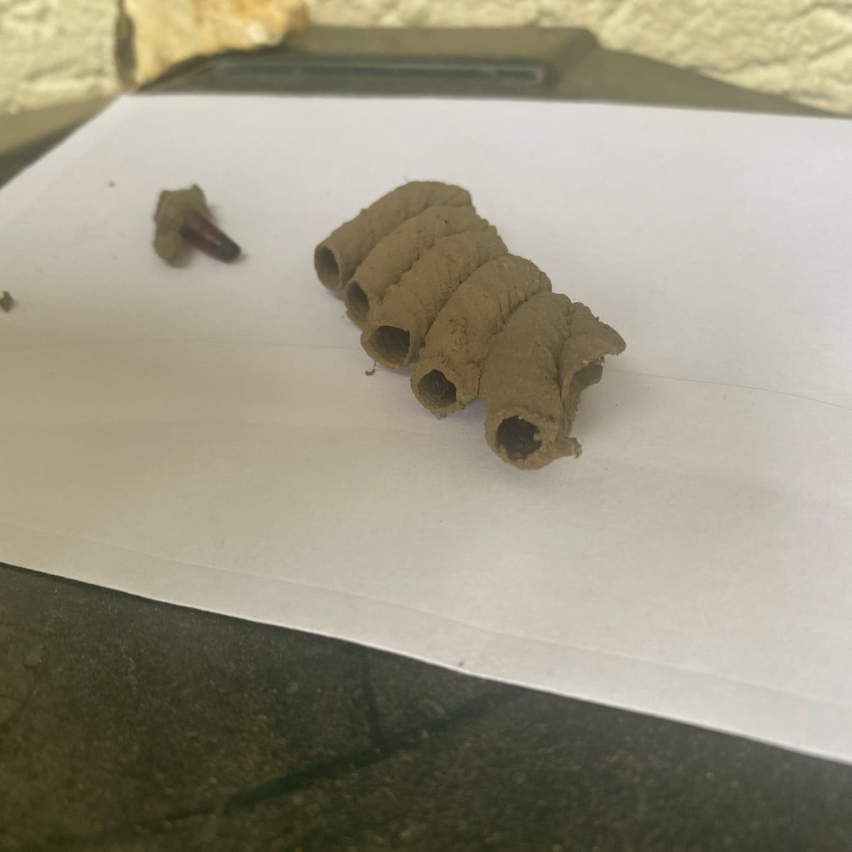Gestern fielen diese Mini-Amphoren aus unserem Briefkasten. Hatte sich wohl eine Lehmwespe als Brutplatz auserkoren. 