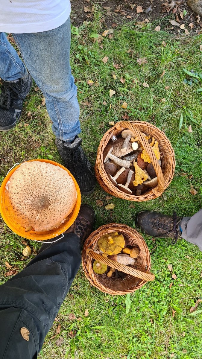 Rätsel😀